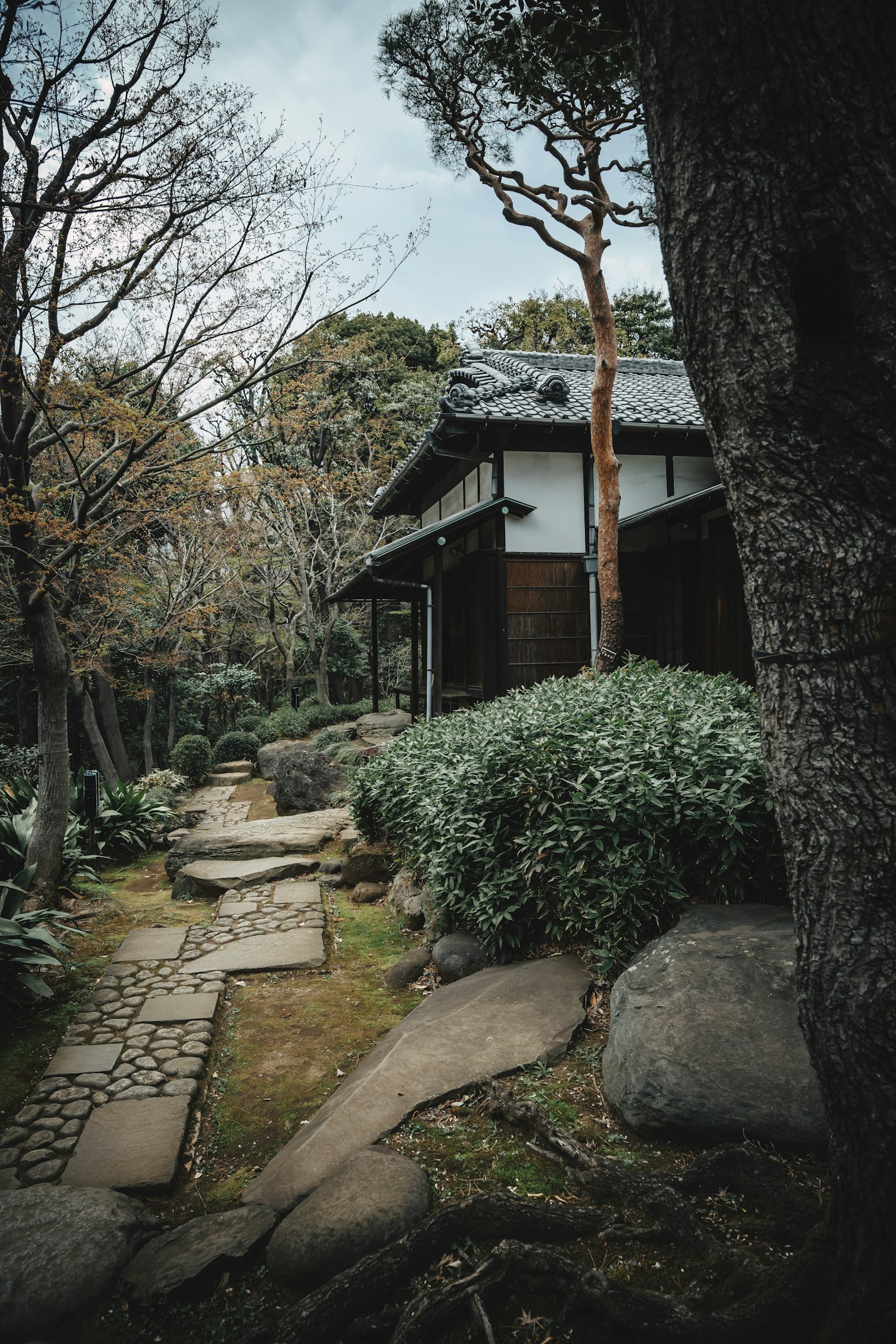木々に囲まれた、瓦屋根の日本家屋と石畳の小道
